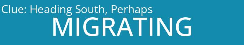 Heading South, Perhaps