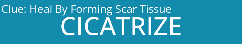 Heal By Forming Scar Tissue