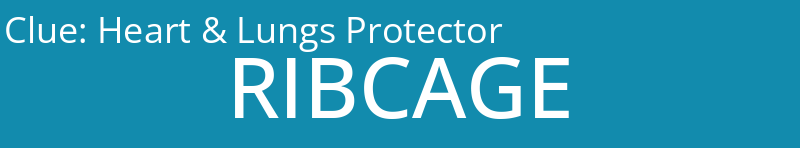 Heart & Lungs Protector
