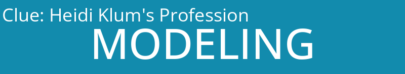 Heidi Klum's Profession