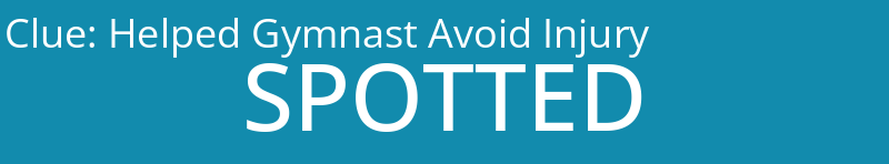 Helped Gymnast Avoid Injury