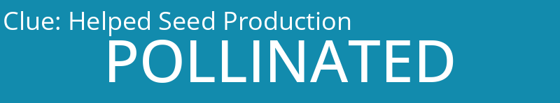 Helped Seed Production