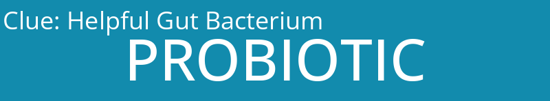 Helpful Gut Bacterium