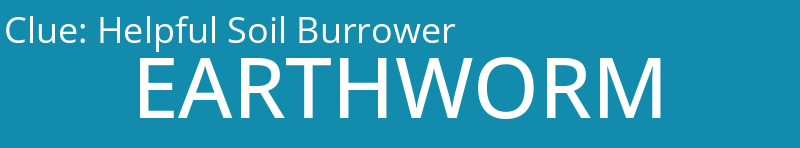 Helpful Soil Burrower