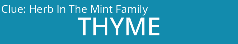 Herb In The Mint Family