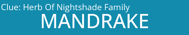 Herb Of Nightshade Family