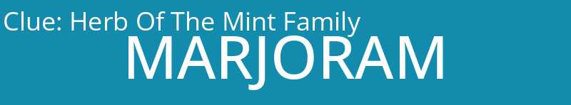 Herb Of The Mint Family