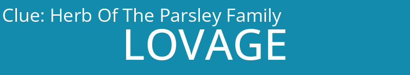 Herb Of The Parsley Family