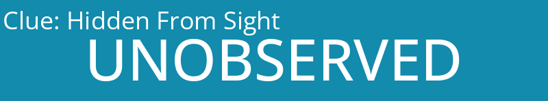Hidden From Sight