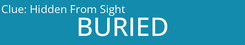 Hidden From Sight