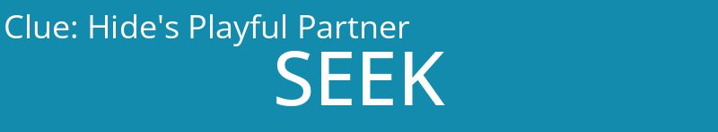 Hide's Playful Partner