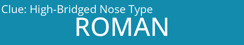 High-Bridged Nose Type