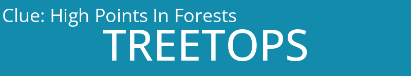 High Points In Forests