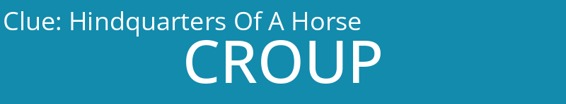 Hindquarters Of A Horse