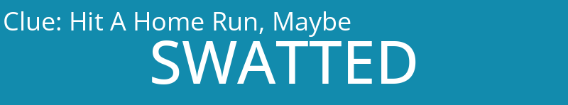 Hit A Home Run, Maybe