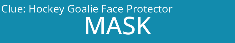 Hockey Goalie Face Protector