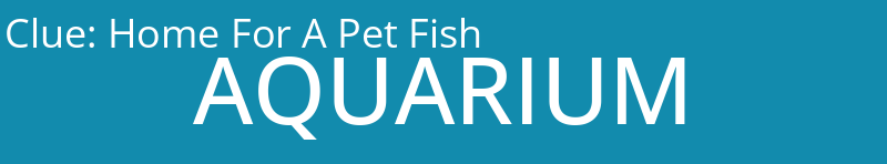 Home For A Pet Fish