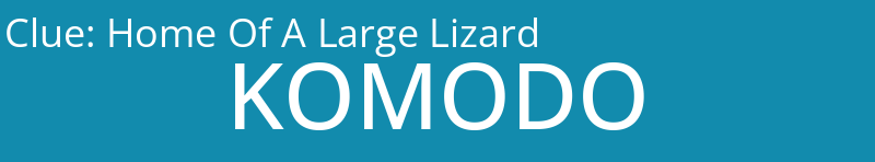 Home Of A Large Lizard