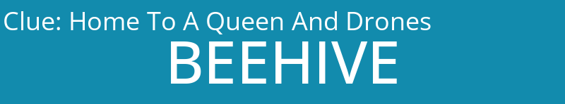 Home To A Queen And Drones