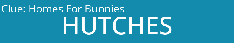 Homes For Bunnies