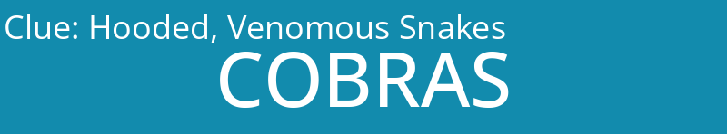 Hooded, Venomous Snakes