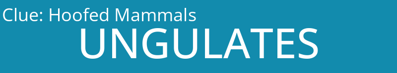 Hoofed Mammals