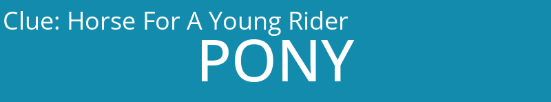 Horse For A Young Rider