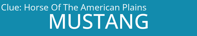 Horse Of The American Plains