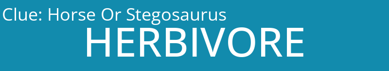 Horse Or Stegosaurus