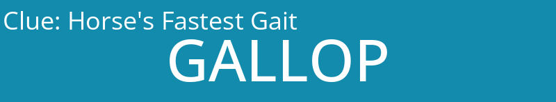 Horse's Fastest Gait