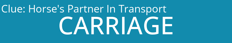 Horse's Partner In Transport