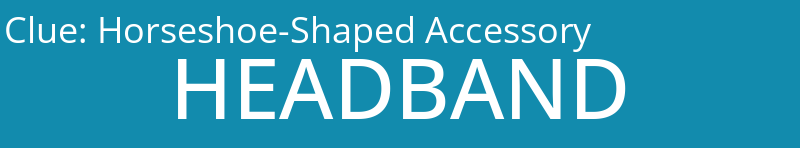 Horseshoe-Shaped Accessory