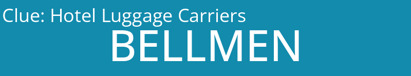 Hotel Luggage Carriers