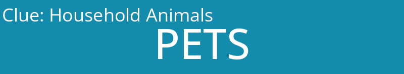 Household Animals