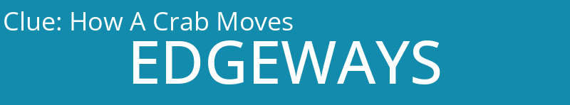 How A Crab Moves
