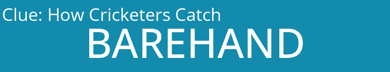 How Cricketers Catch