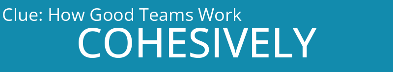 How Good Teams Work