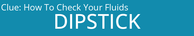 How To Check Your Fluids