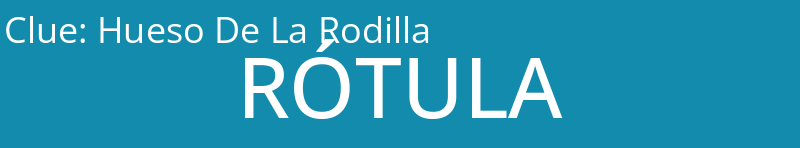 Hueso De La Rodilla