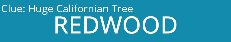 Huge Californian Tree