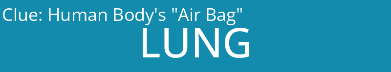 Human Body's "Air Bag"