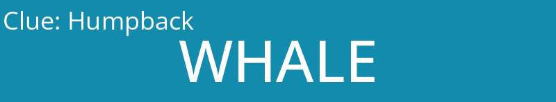 Humpback
