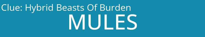 Hybrid Beasts Of Burden