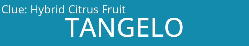 Hybrid Citrus Fruit