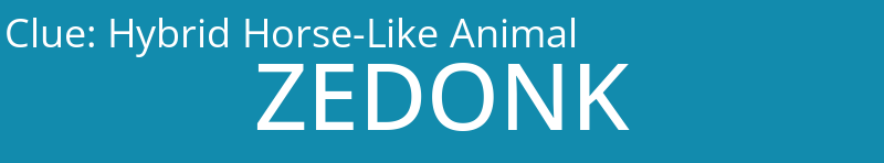 Hybrid Horse-Like Animal