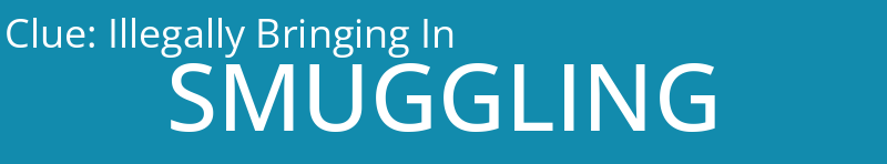 Illegally Bringing In
