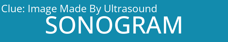 Image Made By Ultrasound