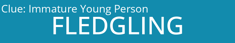 Immature Young Person