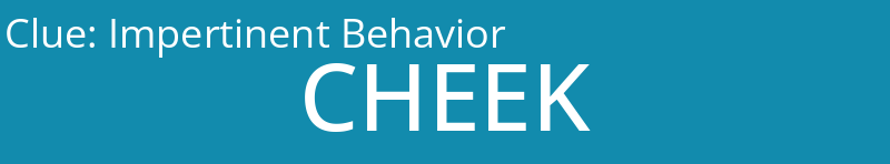 Impertinent Behavior