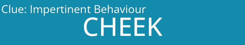Impertinent Behaviour